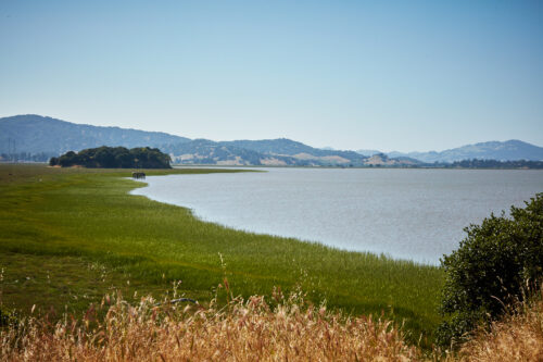Compass_SanRafael_0075