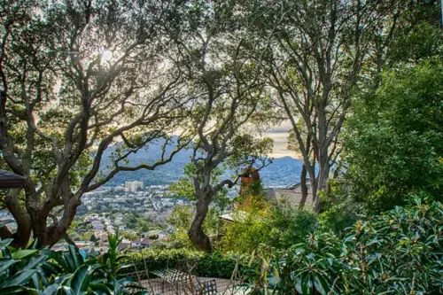 Greenbrae