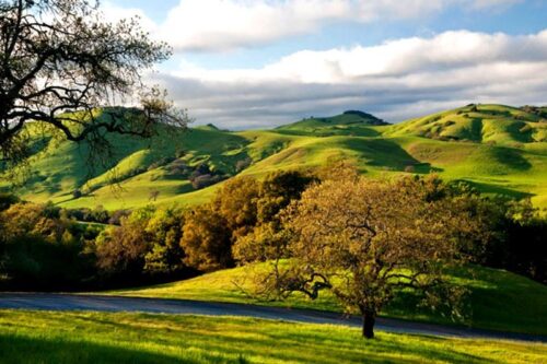 Petaluma_Parks