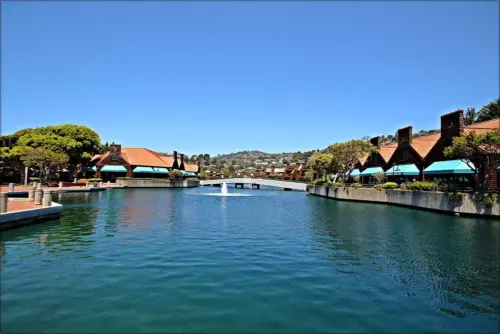 tiburon-2