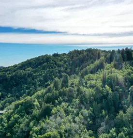 gallery-mp-kentfield
