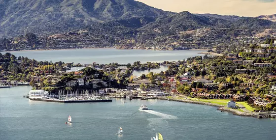 gallery-mp-tiburon