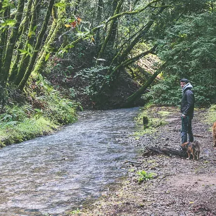 Indian Valley Trails