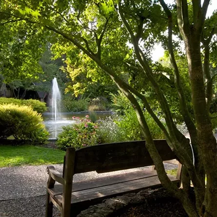 Marin Art & Garden Center