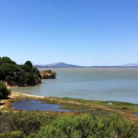 China Camp State Park