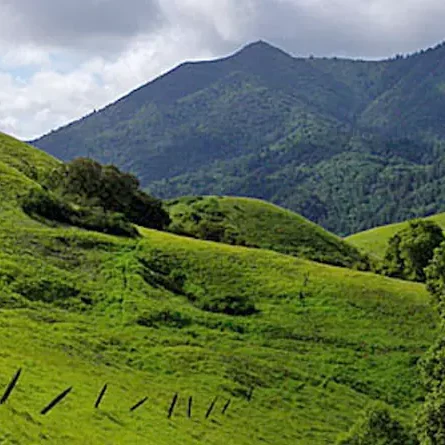 Bald Hill