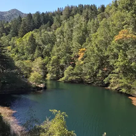 Phoenix Lake